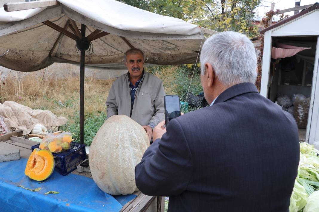 51 kiloluk dev kabak! 2 kişinin yardımıyla taşınıyor 5